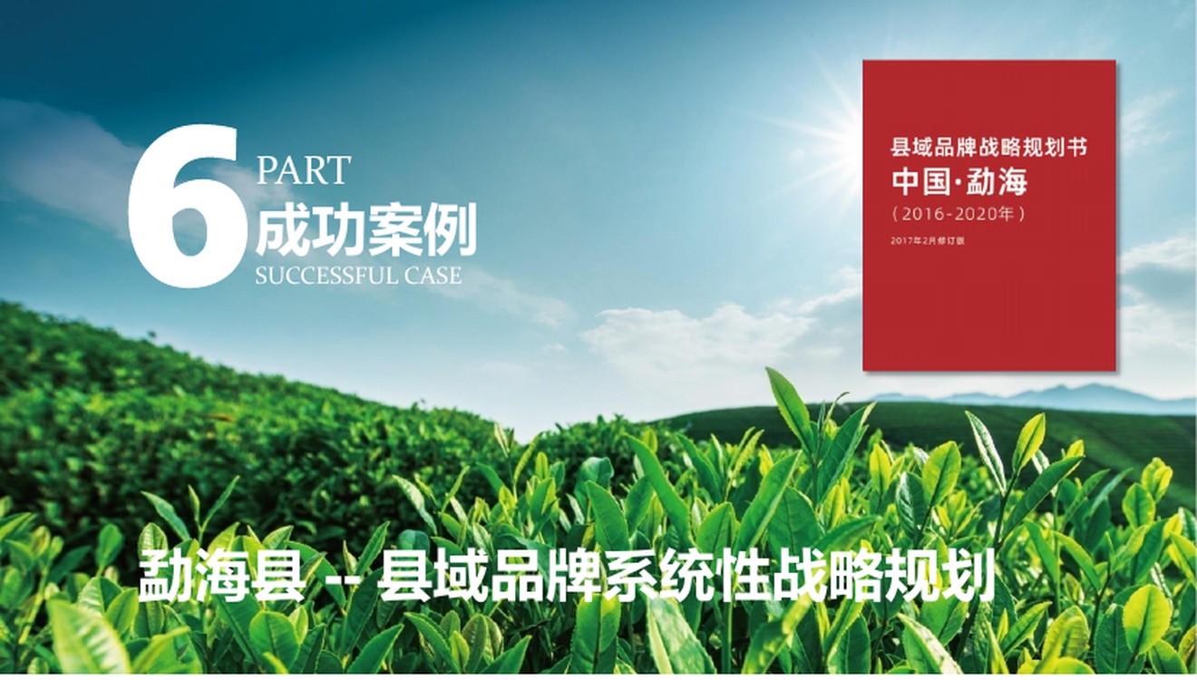 勐海县域品牌系统性战略规划